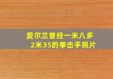 爱尔兰曾经一米八多2米35的拳击手照片