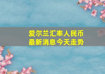 爱尔兰汇率人民币最新消息今天走势