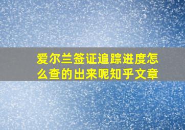 爱尔兰签证追踪进度怎么查的出来呢知乎文章