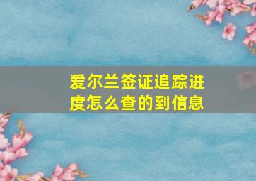 爱尔兰签证追踪进度怎么查的到信息