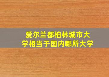 爱尔兰都柏林城市大学相当于国内哪所大学