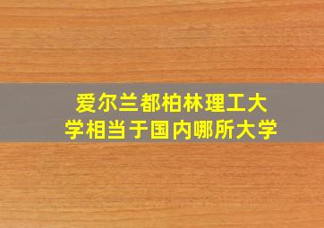 爱尔兰都柏林理工大学相当于国内哪所大学