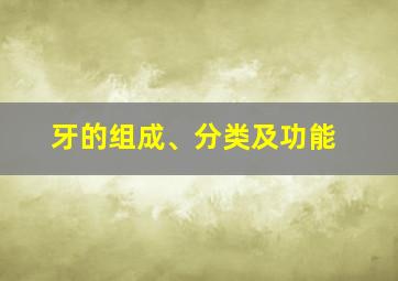 牙的组成、分类及功能