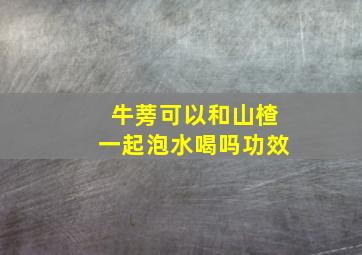 牛蒡可以和山楂一起泡水喝吗功效