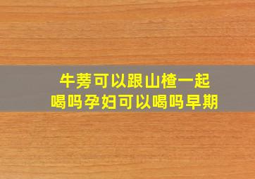 牛蒡可以跟山楂一起喝吗孕妇可以喝吗早期