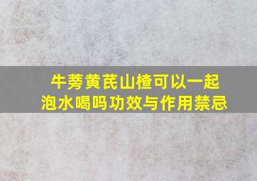 牛蒡黄芪山楂可以一起泡水喝吗功效与作用禁忌