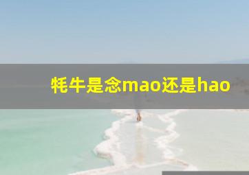 牦牛是念mao还是hao