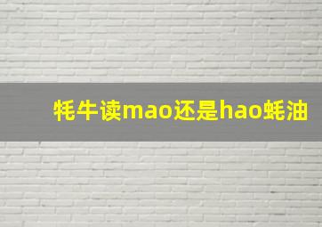 牦牛读mao还是hao蚝油