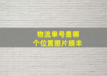 物流单号是哪个位置图片顺丰