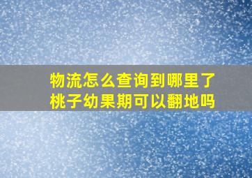 物流怎么查询到哪里了桃子幼果期可以翻地吗