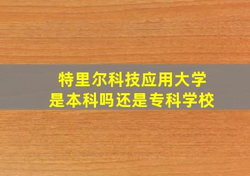 特里尔科技应用大学是本科吗还是专科学校