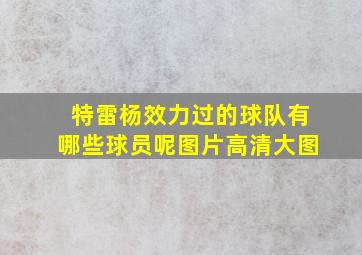 特雷杨效力过的球队有哪些球员呢图片高清大图