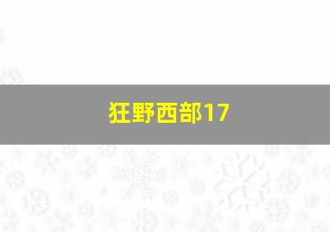 狂野西部17