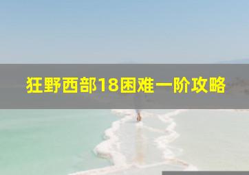 狂野西部18困难一阶攻略