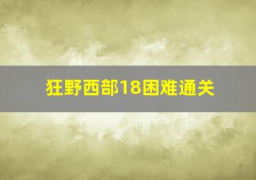 狂野西部18困难通关