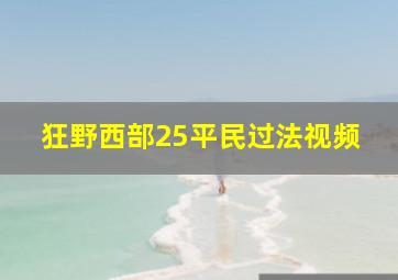 狂野西部25平民过法视频