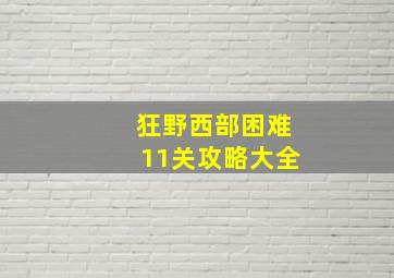 狂野西部困难11关攻略大全