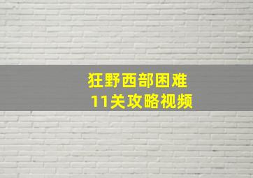 狂野西部困难11关攻略视频