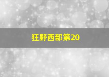 狂野西部第20