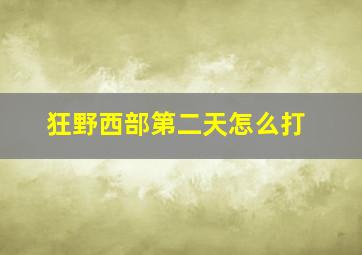 狂野西部第二天怎么打