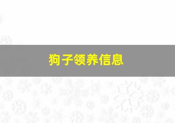 狗子领养信息