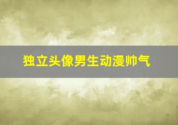 独立头像男生动漫帅气