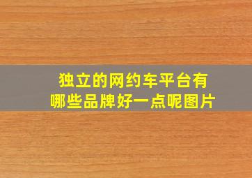 独立的网约车平台有哪些品牌好一点呢图片