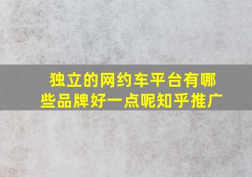 独立的网约车平台有哪些品牌好一点呢知乎推广