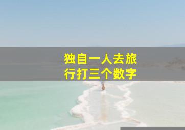 独自一人去旅行打三个数字