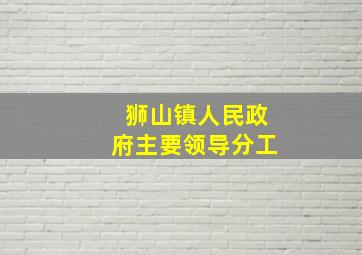 狮山镇人民政府主要领导分工