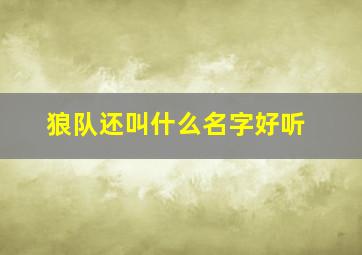 狼队还叫什么名字好听