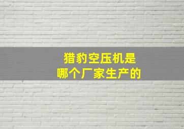 猎豹空压机是哪个厂家生产的