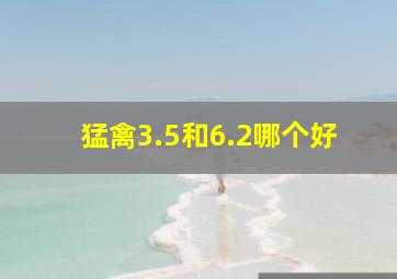 猛禽3.5和6.2哪个好