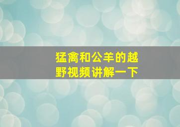 猛禽和公羊的越野视频讲解一下