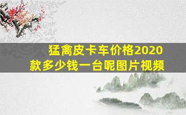 猛禽皮卡车价格2020款多少钱一台呢图片视频