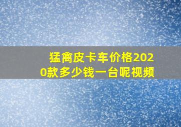 猛禽皮卡车价格2020款多少钱一台呢视频