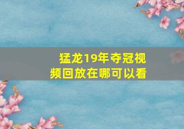 猛龙19年夺冠视频回放在哪可以看