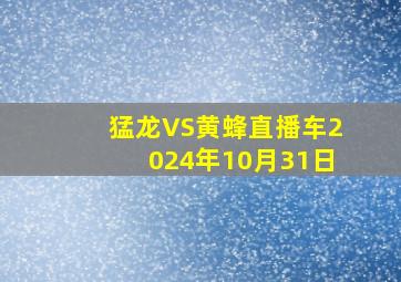 猛龙VS黄蜂直播车2024年10月31日