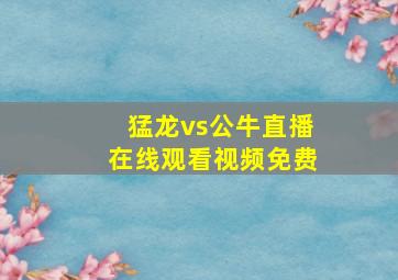 猛龙vs公牛直播在线观看视频免费