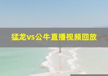 猛龙vs公牛直播视频回放