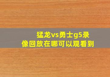 猛龙vs勇士g5录像回放在哪可以观看到