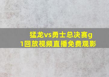 猛龙vs勇士总决赛g1回放视频直播免费观影