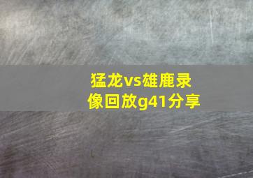 猛龙vs雄鹿录像回放g41分享