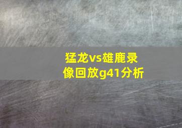 猛龙vs雄鹿录像回放g41分析