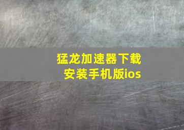 猛龙加速器下载安装手机版ios