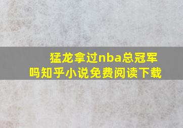 猛龙拿过nba总冠军吗知乎小说免费阅读下载