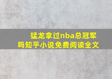 猛龙拿过nba总冠军吗知乎小说免费阅读全文