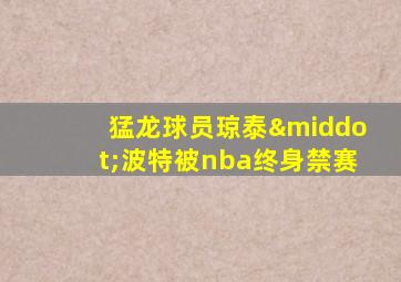 猛龙球员琼泰·波特被nba终身禁赛