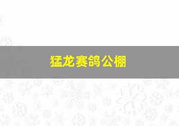 猛龙赛鸽公棚