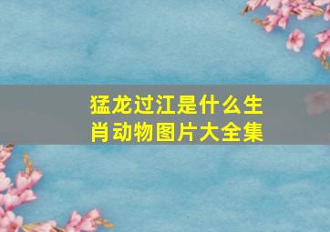 猛龙过江是什么生肖动物图片大全集